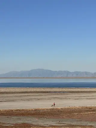 一人走在辽阔的湖岸边，远处是群山